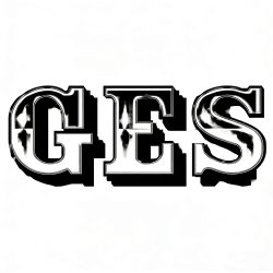 BEIJING GES CO., LTD